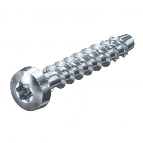 Screw anchor (MZ123)